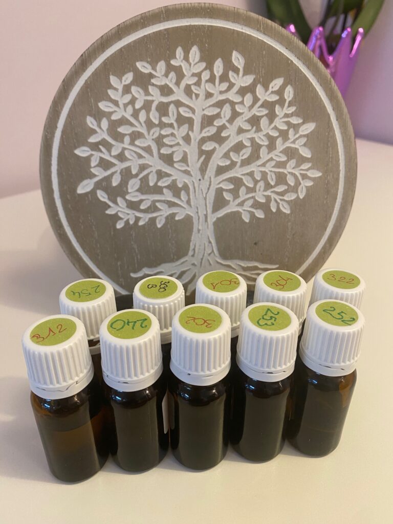 detoxination-a-fleur-de-peau-groisy-annecy-kinesiologue