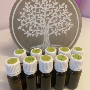detoxination-a-fleur-de-peau-groisy-annecy-kinesiologue detoxination-a-fleur-de-peau-groisy-annecy-kinesiologue